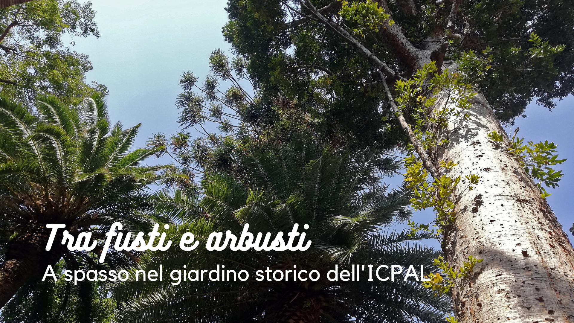 Tra fusti e arbusti. A spasso nel giardino storico dell'ICPAL